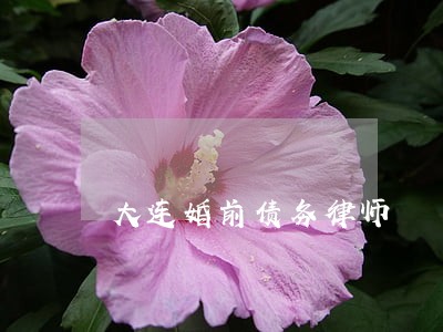 大连婚前债务律师 大连婚前债务律师