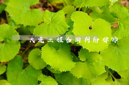大连工程合同纠纷律师 大连工程合同纠纷律师