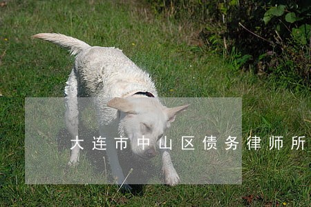 大连市中山区债务律师所 大连市中山区债务律师所
