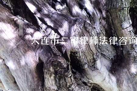 大连市二审律师法律咨询 大连市二审律师法律咨询