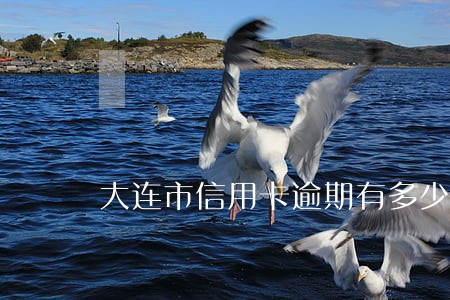 大连市信用卡逾期有多少人 大连市信用卡逾期有多少人