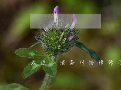 大连市债务纠纷律师团队 大连市债务纠纷律师团队