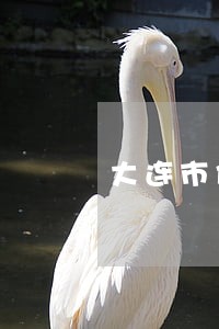 大连市债权债务商账催收律师费用 大连市债权债务商账催收律师费用