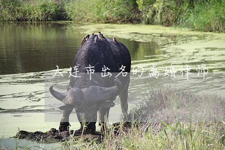 大连市出名的离婚律师 大连市出名的离婚律师
