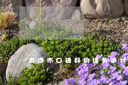 大连市口碑好的债务追讨律师 大连市口碑好的债务追讨律师
