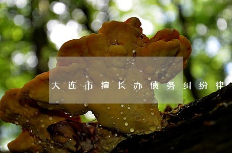 大连市擅长办债务纠纷律师 大连市擅长办债务纠纷律师