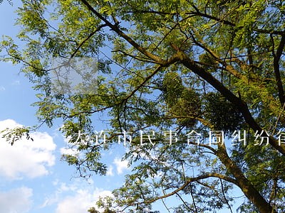大连市民事合同纠纷律师怎么样 大连市民事合同纠纷律师怎么样