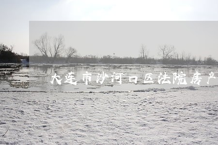 大连市沙河口区法院房产拍卖网