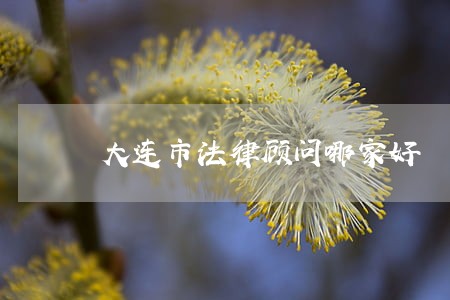 大连市法律顾问哪家好 大连市法律顾问哪家好