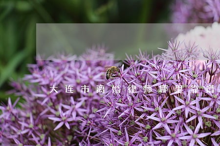 大连市离婚律师哪里靠谱 大连市离婚律师哪里靠谱