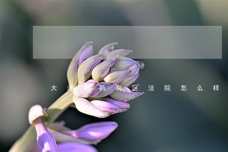 大连市西岗区法院怎么样
