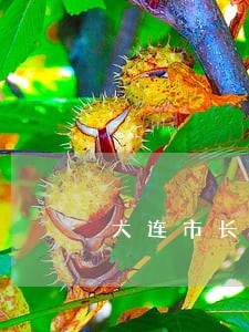 大连市长海县债权债务律师事务所 大连市长海县债权债务律师事务所