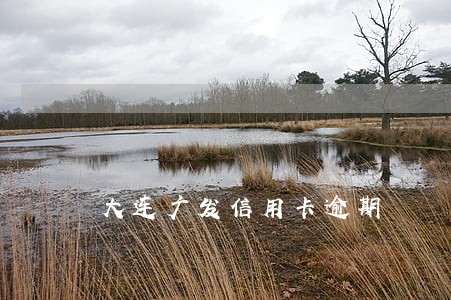 大连广发信用卡逾期 大连广发信用卡逾期