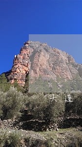 大连当地有名的离婚彩礼律师 大连当地有名的离婚彩礼律师