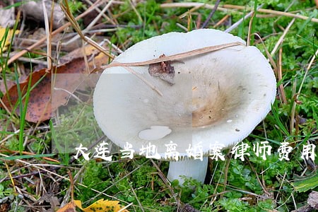 大连当地离婚案律师费用 大连当地离婚案律师费用