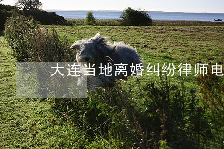 大连当地离婚纠纷律师电话咨询 大连当地离婚纠纷律师电话咨询