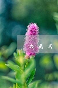 大连房产合同律师费用 大连房产合同律师费用