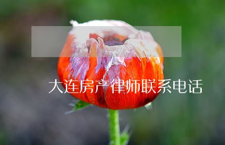 大连房产律师联系电话 大连房产律师联系电话