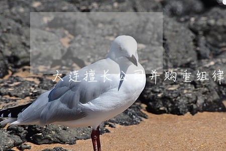 大连擅长公司并购重组律师事务所 大连擅长公司并购重组律师事务所