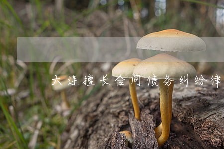 大连擅长合同债务纠纷律师 大连擅长合同债务纠纷律师