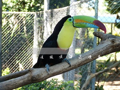 大连旅顺口区债务合同律师 大连旅顺口区债务合同律师