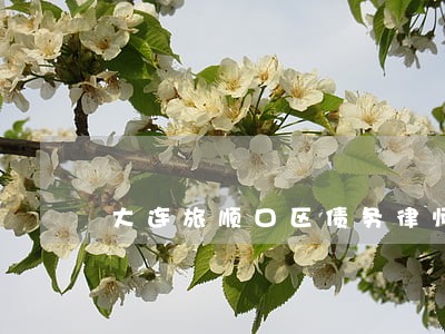 大连旅顺口区债务律师事务所