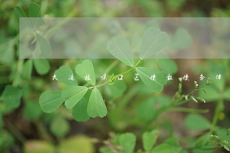 大连旅顺口区债权债务律师事务所 大连旅顺口区债权债务律师事务所