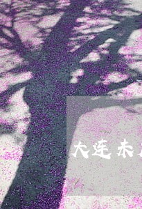 大连未成年人辩护咨询律师 大连未成年人辩护咨询律师