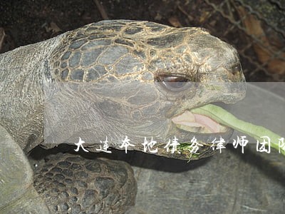 大连本地债务律师团队介绍