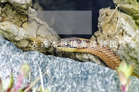 大连本地债务律师团队案件咨询 大连本地债务律师团队案件咨询