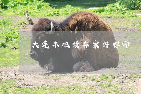 大连本地债务案件律师 大连本地债务案件律师