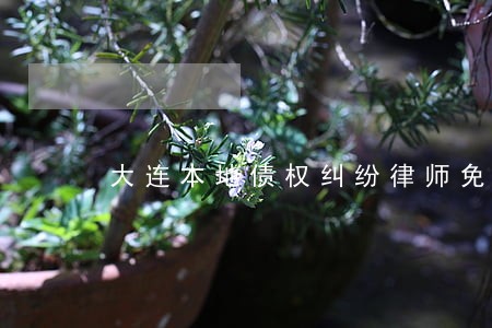 大连本地债权纠纷律师免费咨询 大连本地债权纠纷律师免费咨询