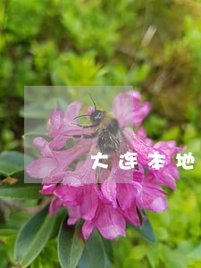 大连本地金州区债务合同律师 大连本地金州区债务合同律师
