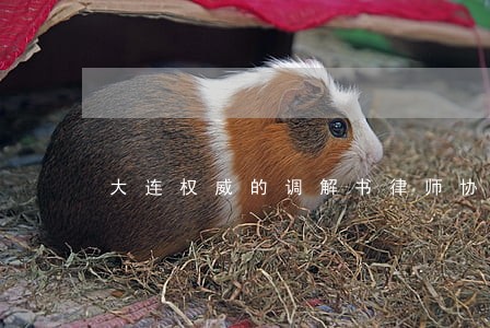 大连权威的调解书律师协议书 大连权威的调解书律师协议书