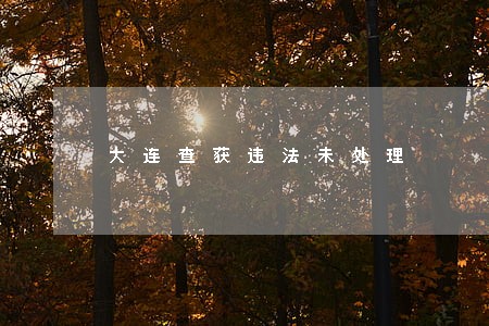 大连查获违法未处理