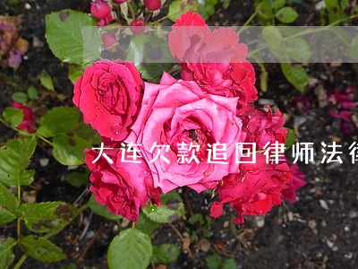 大连欠款追回律师法律咨询