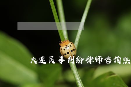 大连民事纠纷律师咨询热线