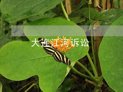 大连江河诉讼 大连江河诉讼