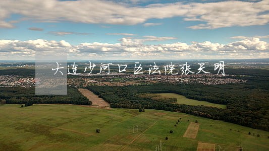 大连沙河口区法院张天明