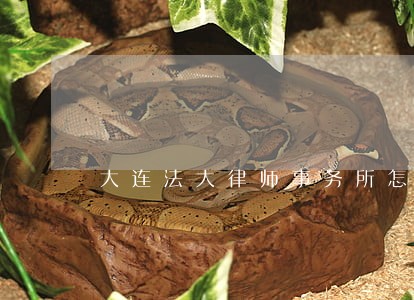 大连法大律师事务所怎么样