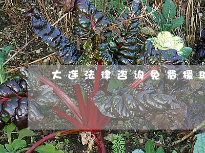 大连法律咨询免费援助 大连法律咨询免费援助