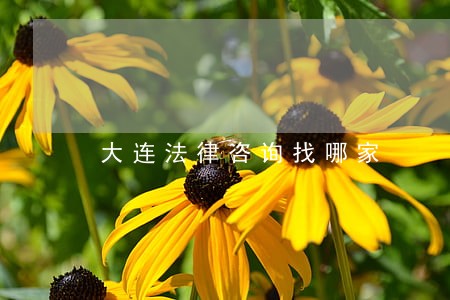 大连法律咨询找哪家 大连法律咨询找哪家