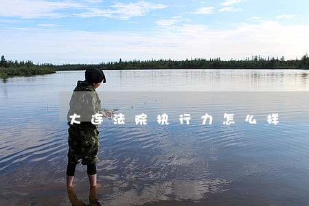 大连法院执行力怎么样 大连法院执行力怎么样
