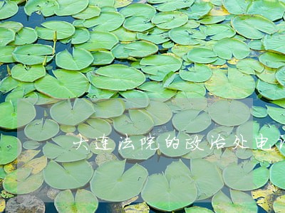 大连法院的政治处电话号码 大连法院的政治处电话号码