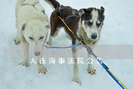大连海事法院公告 大连海事法院公告