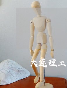 大连理工大学法律顾问