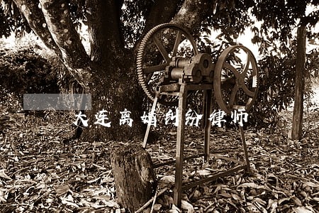 大连离婚纠纷律师