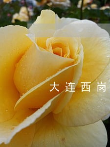 大连西岗区法院归谁管 大连西岗区法院归谁管