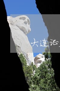 大连证券司法破产 大连证券司法破产