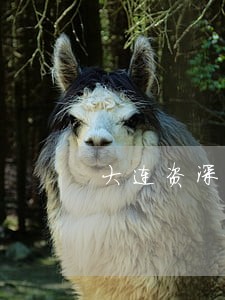 大连资深法律顾问 大连资深法律顾问